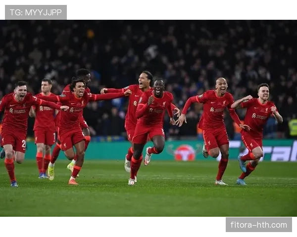 南安普顿新球场闪耀英超,成球迷瞩目的焦点与期待之地 南安普顿新球场闪耀英超,成球迷瞩目的焦点与期待之地