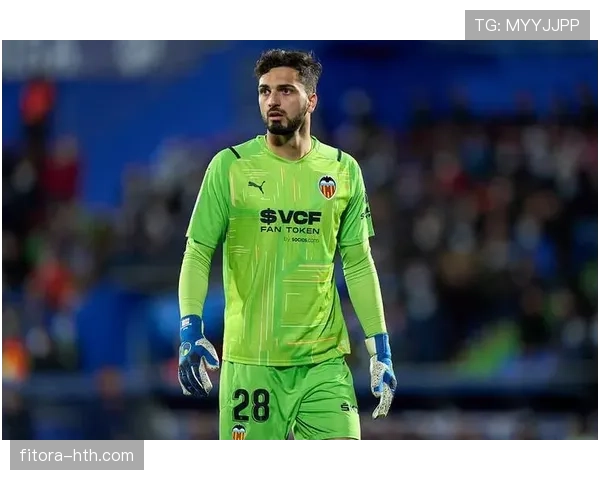 瓦伦西亚球队转会策略更新:新赛季引援计划值得关注,精细布局迎接挑战