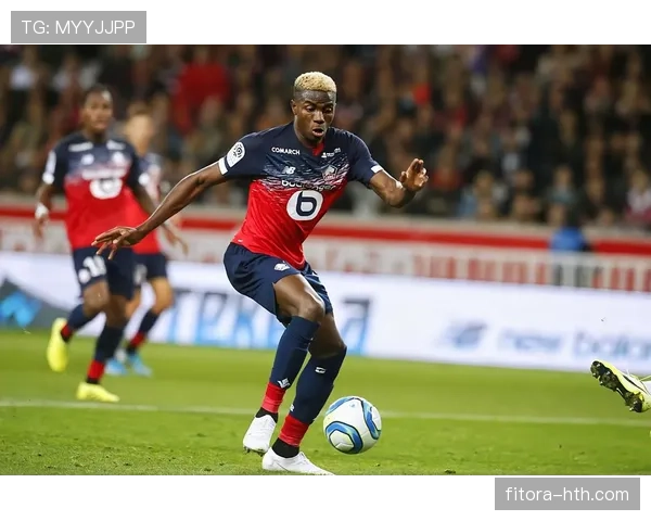 单赛季25+进球:奥斯梅恩的高产输出 单赛季25+进球:奥斯梅恩的高产输出